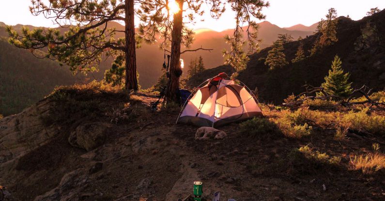 Campsite - Tent Near Tree